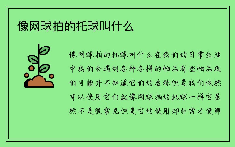 像网球拍的托球叫什么