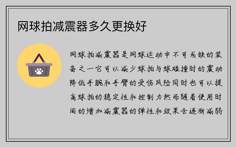 网球拍减震器多久更换好