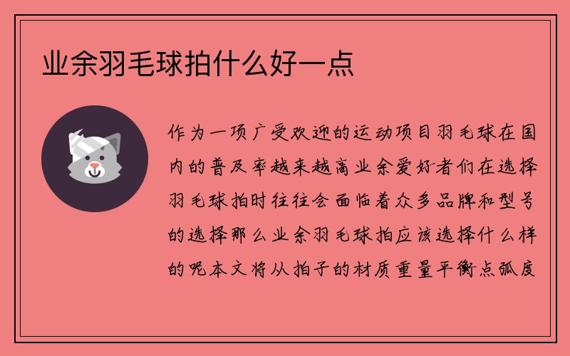 业余羽毛球拍什么好一点